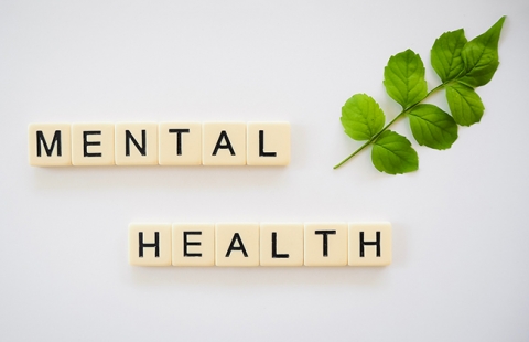 Consultants to Provide Churches with Mental Health Training and Resources