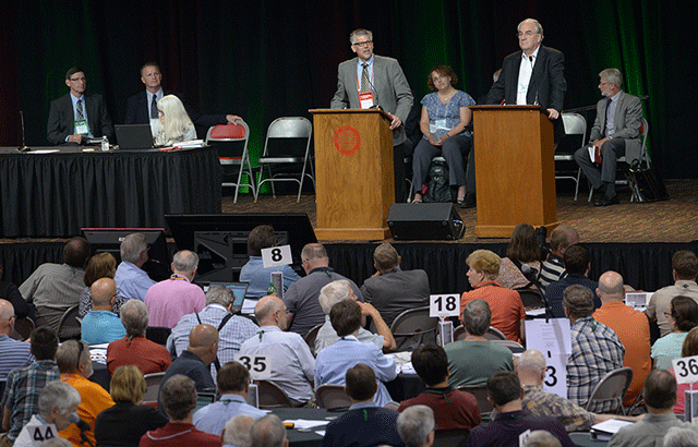 Synod Hears about Collaboration with CRC