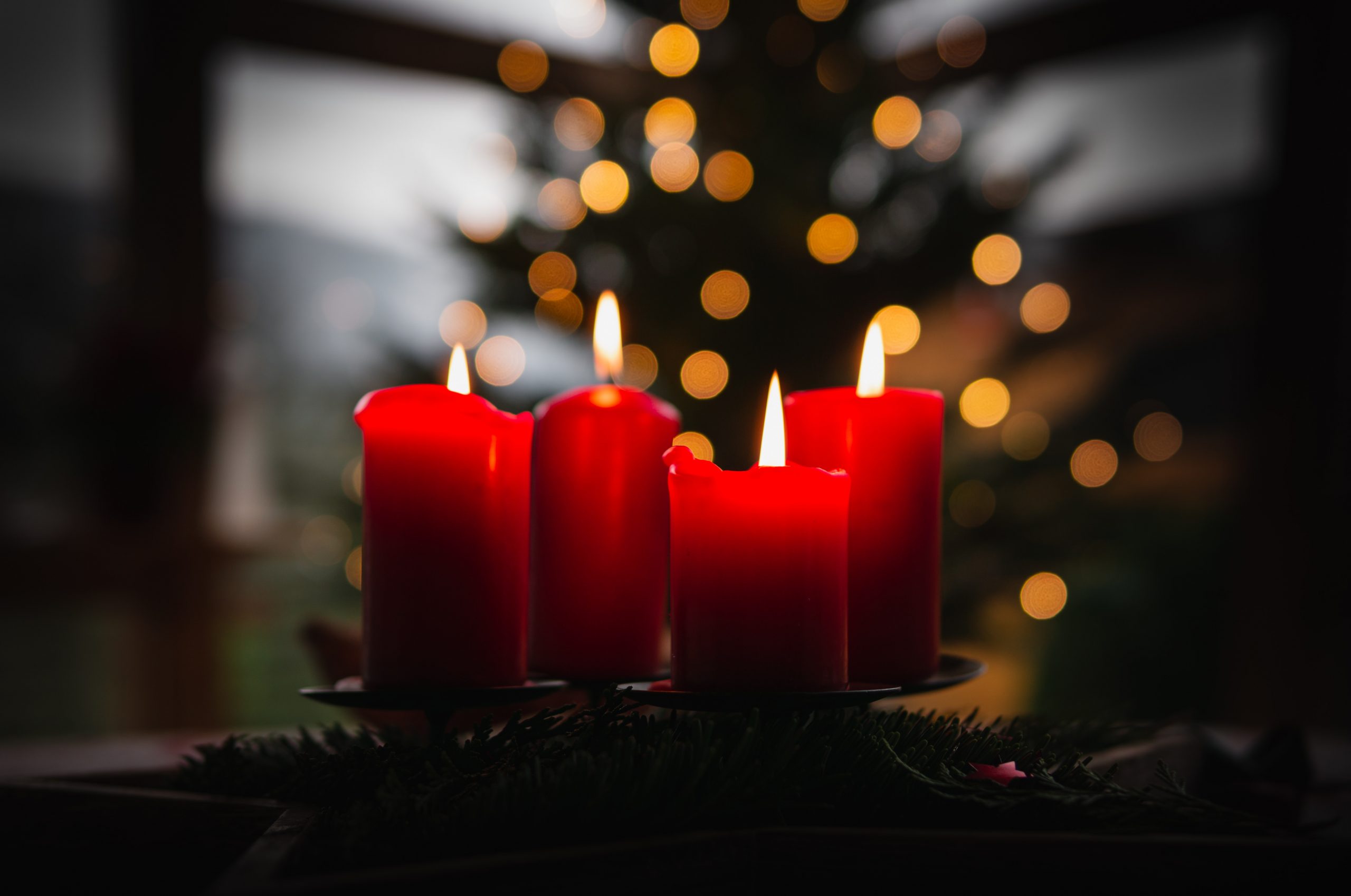 Four red Advent candles are lit, while a blurred Christmas tree and lights are in the background.