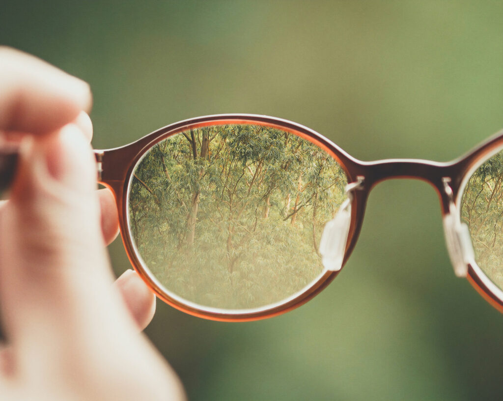 Close up dos óculos quando a imagem de uma floresta está nítida na lente.